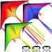 JOYIN Multi Packs Large Delta Kite Orange, Green and Purple, Easy to Fly Huge Kites for Kids and Adults with 262.5 ft Kite String, Large Delta Beach Kite for Outdoor Games and Activities (1/2/3 Packs) Green/Purple/Orange