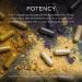 Gaia Herbs Black Elderberry & Acerola - 120 Vegan Capsules for Immune Support - Buy Online on GoSupps.com