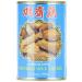 WU CHUNG Wheat Gluten Mock Chicken - 290g Pack of 2 | Healthy Plant-Based Protein for International Shipping - Buy Online on GoSupps.com