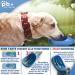 NEW 3 Series Dog Drinking Bottle Gift Set | 550ml Leak-Proof Bottle with Food Container & Toothbrush - Premium On-the-Go Solution for Dogs - Blue - Buy Online on GoSupps.com