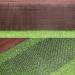 MEISO Cat Scat Spike Mat 6.5FT / 2M Pet Deterrent Spikes Prickle Mat with 8 Garden Staples Plastic Scat Mat Animals Prickle Strips Scat Mat for Garden Porch Home Stop Dog Digging Keep Cat Away - Buy Online on GoSupps.com