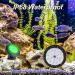 NATPOW 5-in-1 Solar Pond Lighting - RGB Waterproof Underwater Lights for Pool Garden & Patio | IP68 Landscape Spotlights - Buy Online on GoSupps.com