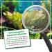 Microbe-Lift Plants FE - 473ml | Specialized Iron Fertilizer for Freshwater Aquariums | Promote Growth & Photosynthesis | Nitrate & Phosphate Free - Buy Online on GoSupps.com
