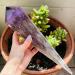 Specimen Natural Amethyst Quartz Cluster Crystal Specimen Scepter Power Gem Reiki Crystal Stone - Buy Online on GoSupps.com