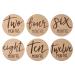 Kate & Milo Baby Monthly Milestone Marker Discs - Reversible Photo Props for Baby and Pregnancy Growth - Wooden Cards - Buy Online on GoSupps.com
