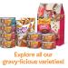 Purina Friskies Extra Gravy Chunky Wet Cat Food Variety Pack - 24 Cans - Buy Online on GoSupps.com