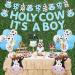 Cow Baby Shower Decorations for Boy Holy Cow It's a Boy Baby Shower Decorations Blue Cow Garland Welcome Baby Cake Toppers for Cow Theme Baby Shower Decor - Buy Online on GoSupps.com