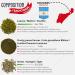 Yerba Mate Rosamonte Traditional 0.5kg Stainless Steel Tea Set | Kalebasse & Bombilla - Premium Mate Experience - Buy Online on GoSupps.com