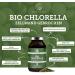 Qidosha Bio Chlorella - 600 pcs | 500mg Natural Organic Chlorella Powder | 100% Bio & Broken Cell Wall - Buy Online on GoSupps.com