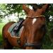 Buy Happiness Hinge Colorful Horses Head Strap 'Paradise' - Pink Green & Gold | Curved Narrow WB Leather in Black - Buy Online on GoSupps.com