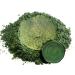 Eye Candy Premium Mica Powder Pigment Bonsai Green 50g - Multipurpose DIY Arts and Crafts Additive for Woodworking, Bath Bombs, Resin, Paint, Epoxy, Soap, Nail Polish - Buy Online on GoSupps.com