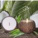 Coconut Bowl Candle - 14oz Premium Soy - Eco-Friendly Coconut Scented Candle in Natural Shell - Ideal for Home & Beach D cor - Aromatherapy Experience - Buy Online on GoSupps.com