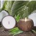 Jasmine Scented Coconut Bowl Candle 14oz Premium Soy Wood Wicked Scented Candle Natural Coconut Shell Eco Friendly Ideal for Home and Beach D cor Aromatherapy Candle