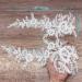 Sequins Flower Embroidery Lace Appliques - 1 Pair, Sew on Patches for Wedding Bridal Dress, DIY Craft - White-Off Car Bone Style - Buy Online on GoSupps.com