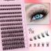 DIY Eyelash Extension Kit - 144Pcs D Curl Fluffy Cluster Lashes - Long Lasting Bond & Seal - Includes Lash Tweezers - Wispy Individual Lashes - Home Lash Extension Kit - Buy Online on GoSupps.com