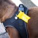Buy Vest Harness D-Ring Buckle Mandarin S | Curli D-Ring Buckle S for Optimal Comfort & Style - International Shipping Available - Buy Online on GoSupps.com