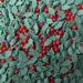 Holly & Berry Christmas Cupcake Sprinkles Edible Sugar Decorations from Nice Buns 50g - Buy Online on GoSupps.com