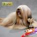Best Shot Pet The MAXX Ultra Concentrate Miracle Detangler 8.5 oz (UMXX-1) - Buy Online on GoSupps.com