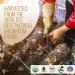 La Republica Dreamer Organic Mushroom Coffee (30 Servings) | 7 Superfood Mushrooms | Fair Trade Arabica Coffee | Hirie Music Limited Edition - Buy Online on GoSupps.com