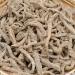 Angelica Root Tea 60-Teabags (3.5oz/100g) - Buy Online on GoSupps.com