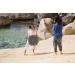 Lastolite LL LR2050 20-Inch Ezybalance Card - Grey/White - Buy Online on GoSupps.com