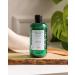 Eug ne Perma 300 Nature Collections Purity Shampoo - Buy Online on GoSupps.com