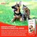 HomeoVet TraumaVet Joint Care 30ml Liquid Supplement for Dogs & Cats Arnica Montana Enriched Formula - Hip Joint & Muscle Support Alleviates Discomfort & Enhances Pet Joint Mobility for All Breeds - Buy Online on GoSupps.com