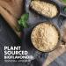 Buy Bluebonnet Nutrition Rutin 500 mg - 50 Vegetarian Capsules for Natural Wellness - Buy Online on GoSupps.com