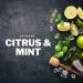 Supreme Men's Beard Oil - Citrus Mint Fragrance | Vegan Daily Care for Beard Growth | Bartstoppel Mojito Mint 30ml - Buy Online on GoSupps.com
