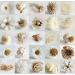Exotic Plawanature set of 25 mixed sola wood flowers with reed diffuser for home fragrance oil.