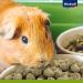 Vita Power Vita Special Junior Feed for Young Dwarf Rabbits - 600g | Herbal & Grass Blend for Optimal Digestion No Sugar or Grains - Buy Online on GoSupps.com