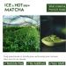 CAPACITEA Matcha Green Tea Powder Large 160g Premium Grade For Hot & Cold Brew Unsweetened For Baking and foamy latte - Buy Online on GoSupps.com