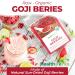 Healthworks Raw Goji Berries - 16oz | Certified Organic, Keto, Vegan & Non-GMO Superfood for Baking, Teas & Smoothies - Buy Online on GoSupps.com