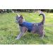Mynwood Cat Jacket/Harness Black Watch Tartan Adult Cat - Buy Online on GoSupps.com