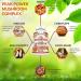 FRESH HEALTHCARE Peak Power Mushroom Supplement - 90 Vegan Capsules for Immune & Brain Support with Lions Mane, Cordyceps, Reishi, Turkey Tail, and Shiitake - Buy Online on GoSupps.com