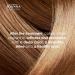 Joanna Naturia Color Permanent Hair Color Cream Goodness of Milk Proteins and Peach Extracts Premium-Quality Hair Dye Provides Soft and Lustrous Hair Long-Lasting Hair Colors Copper Blond - Buy Online on GoSupps.com