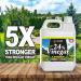 Eco Living Solutions 24% Pure Vinegar | For Home & Garden | 5X Stronger Than Vinegar | Concentrated Industrial Grade Cleaning Vinegar | Bleach Ammonia and Harmful Chemical Alternative - 1 Gallon - Buy Online on GoSupps.com