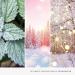 Yankee Candle Snow Globe Wonderland Medium Jar | 75 Hours Burn Time | Perfect Gifts for Women - Buy Online on GoSupps.com