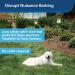 PetSafe Outdoor Ultrasonic Bark Control | Deterrent for All Dog Sizes | 1/4 Acre Coverage | Automatic Activation | Weatherproof | Ideal for Backyards - Buy Online on GoSupps.com