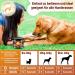 GastroBalance Relief for Constipation in Dogs 60 Soft Chews | Natural Laxative with 100% Active Ingredients Fast International Shipping - Buy Online on GoSupps.com