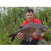 Tandem Baits MF Diffusion Micro Boilies Carp Fishing Bait 8mm 20g - Buy Online on GoSupps.com