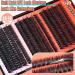 Winifred Eyelash Clusters - Individual Lashes 80D/100D/120D | Thick Volume Wispy Lash Extensions | D Curl Cluster Lashes | 300pcs (10-18mm - Buy Online on GoSupps.com