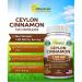 Organic Ceylon Cinnamon 1200mg - 120 Capsules | Heart Health Support Supplement - Buy Online on GoSupps.com
