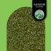 Organic Garlic 500g - 100% Natural Wild Garlic Leaves | Additive-Free Controlled Organic Cultivation - Buy Online on GoSupps.com