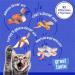Friskies Greatest Hits Wet Cat Food Pate Variety Pack 4 Flavours - 156 g Can (32 Pack) Greatest Hits Cat Food - Buy Online on GoSupps.com