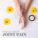 db Sweet Birch Joint & Muscle Therapy | All Natural Shea Arnica Lavender & Menthol | Thick Formula Made in USA - Buy Online on GoSupps.com