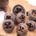 Eucalyptus Seed Pods | 240g Bag | Approx. 120 Pieces | 1.5-3cm | Natural Decor, Crafts - Buy Online on GoSupps.com
