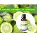 Bergamot Essential Oil 1 oz (30ml) -100% Natural and Pure Therapeutic Grade-Premium Quality Sourced from Italy-Natural Stress Reliever and Mood Lifter - Buy Online on GoSupps.com