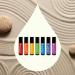 Plant Therapy Chakra Essential Oil Blends Complete Roll-On Set 100% Pure Pre-Diluted Aromatherapy for Chakra Balance & Self-Care Chakra 2.02 Fl Oz (Pack of 1) - Buy Online on GoSupps.com