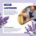 Cleansing Lavender Hand Soap Refill 3-Pack | Cleancult | Coconut-Derived, Paraben-Free, Moisturizing Aloe - Buy Online on GoSupps.com